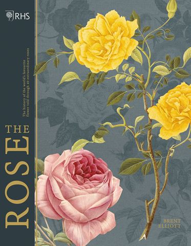 The Rose