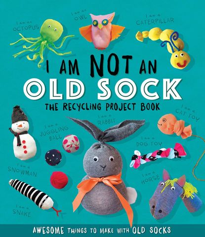 I am not an Old Sock: The Recycling Project Book