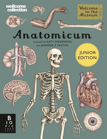 Anatomicum Junior