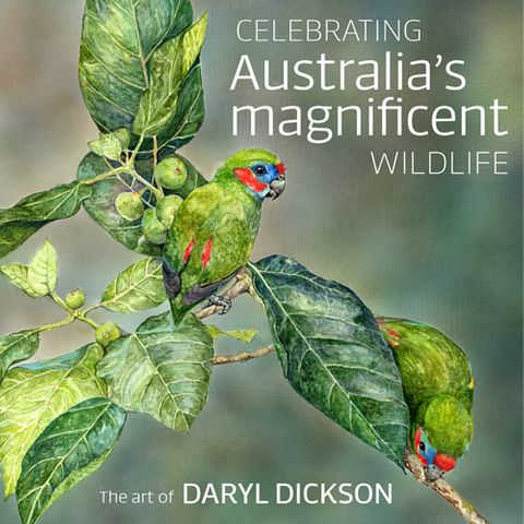 Celebrating Australia's Magnificent Wildlife