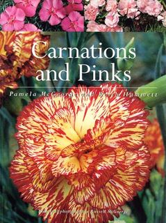 Carnations & Pinks