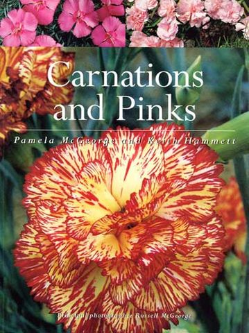 Carnations & Pinks