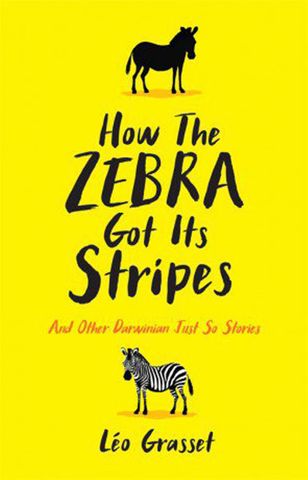 How the Zebra Got Its Stripes