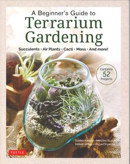 A Beginner's Guide to Terrarium Gardening