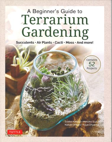 A Beginner's Guide to Terrarium Gardening