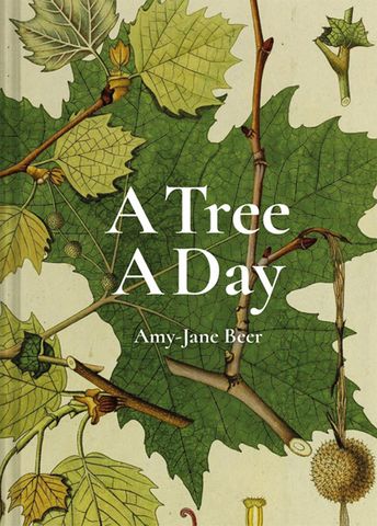 A Tree a Day