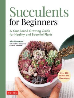 Succulents for Beginners