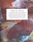 Natural Kitchen Dyes
