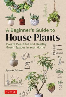 A Beginner's Guide to House Plants