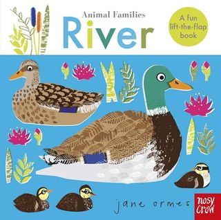 Animal Families: River