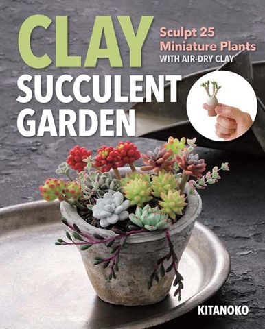 Clay Succulent Garden