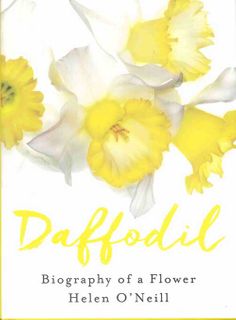 Daffodil: Biography of a Flower