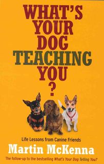 What's Your Dog Teaching You?