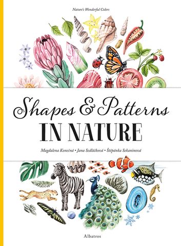 Shapes and Patterns in Nature
