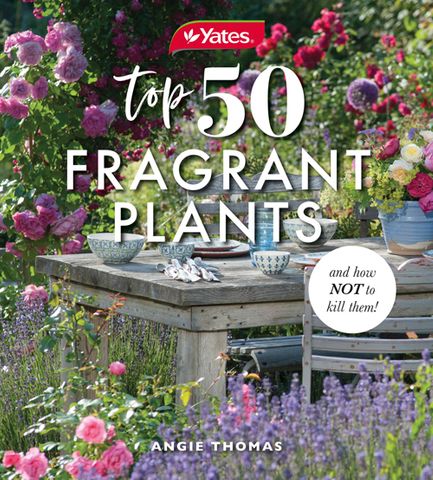 Yates Top 50 Fragrant Plants