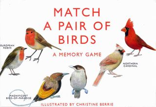 Match a Pair of Birds