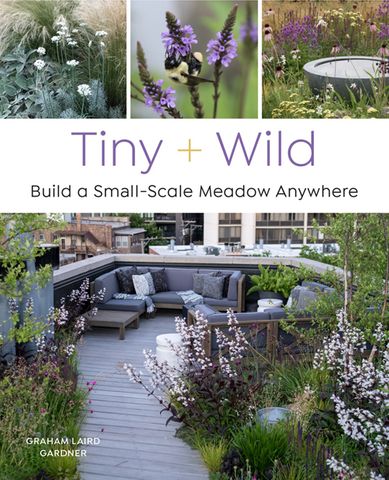 Tiny and Wild