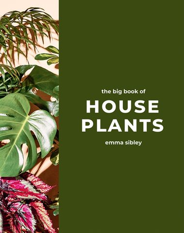 The Big Book of Houseplants