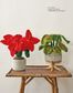 Crocheted Houseplants