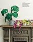 Crocheted Houseplants