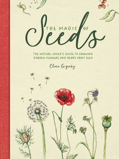 The Magic of Seeds