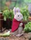 Knitting Peter Rabbit