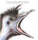 Edward the Emu