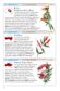 Cronin's Key Guide to Australian Wildflowers