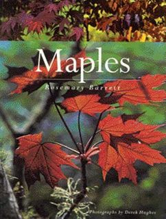 Maples