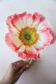 Crafting Paper Flowers