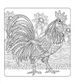 Fabulous Chickens Coloring
