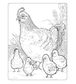 Fabulous Chickens Coloring