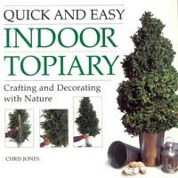 Quick & Easy Indoor Topiary