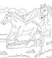 Beautiful Horses Coloring Book