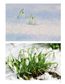 Plants with Superpowers