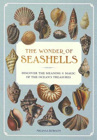 The Wonder of Seashells