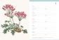 Royal Horticultural Society Desk Address Book