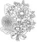 The Language of Flowers Coloring Book