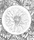 The Language of Flowers Coloring Book