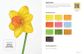 Colored Pencil Workbook: Fabulous Flowers