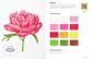 Colored Pencil Workbook: Fabulous Flowers
