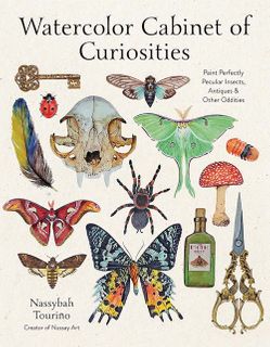 Watercolor Cabinet of Curiosities