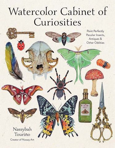 Watercolor Cabinet of Curiosities