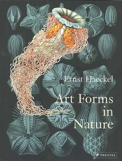 Art Forms in Nature