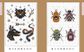 Cross Stitch Cabinet of Curiosities