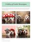 Crochet Cute Dog Hats