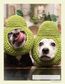 Crochet Cute Dog Hats