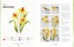 Birth Flowers in Watercolor