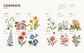 Birth Flowers in Watercolor