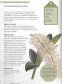 The Kew Gardener's Guide to Growing Orchids